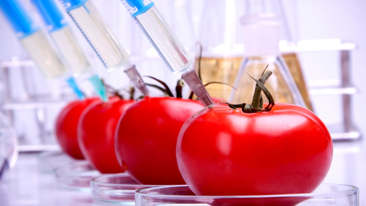 7 useful for household chemistry reactions MEL Chemistry