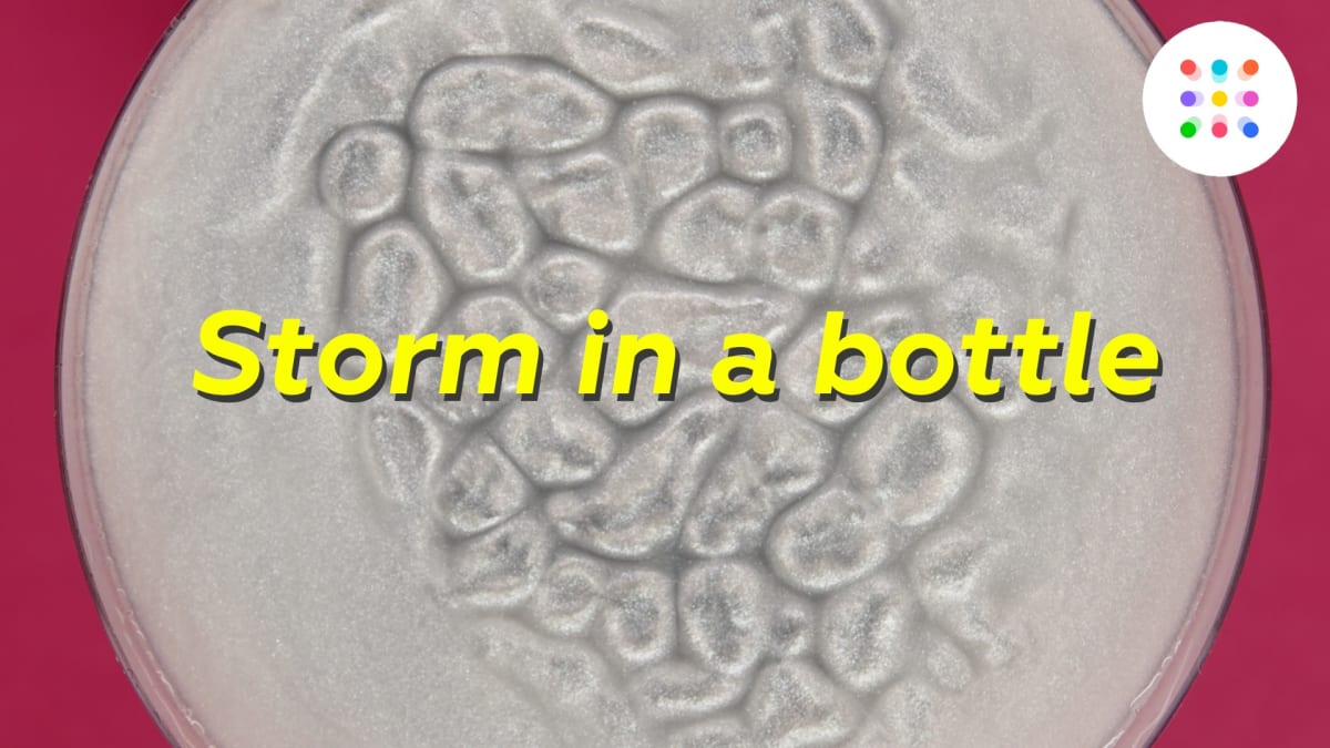 See Invis Particles How to see the invisible | MEL Chemistry