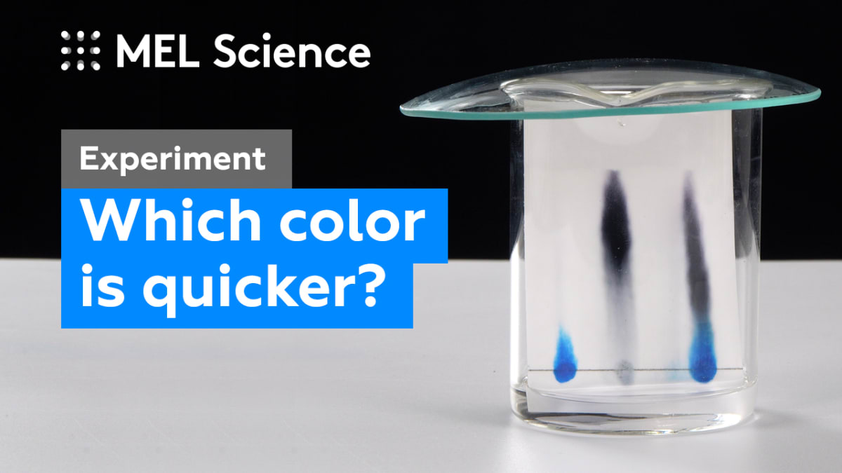 “Chromatography at home” experiment MEL Chemistry