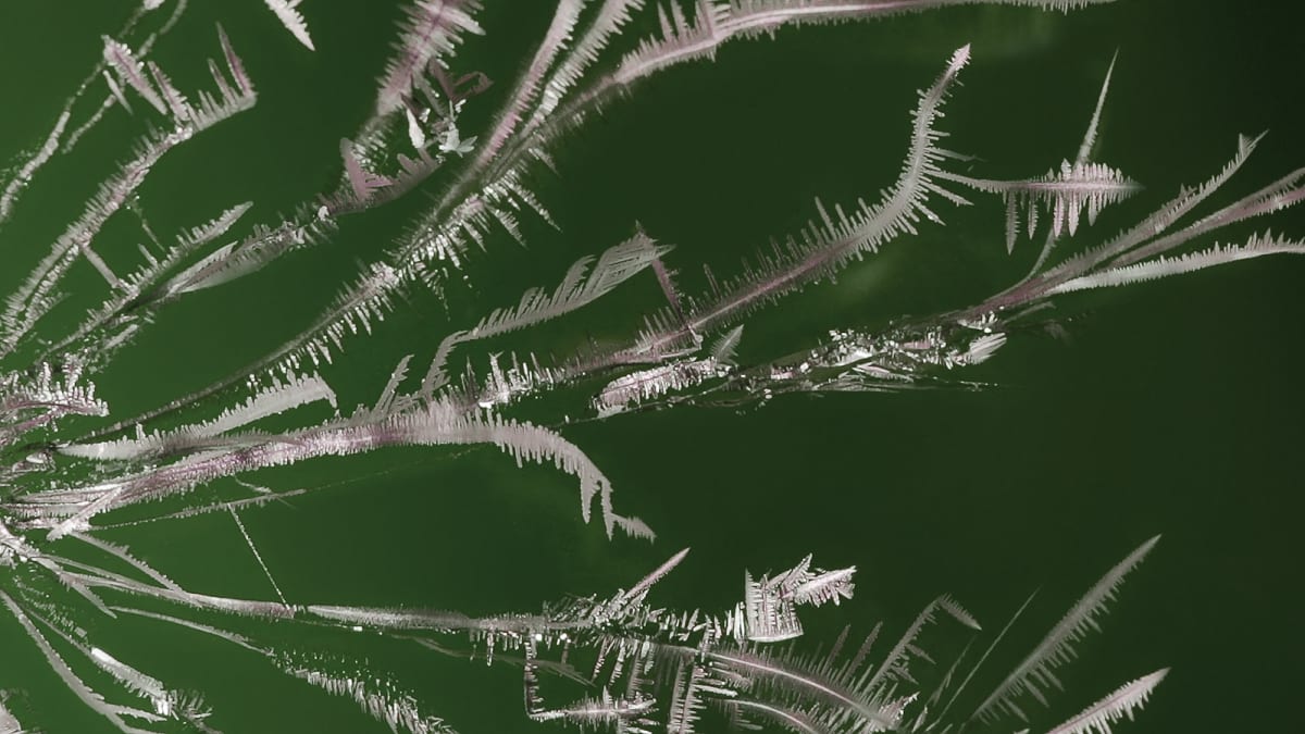 tin dendrite tin dendrite