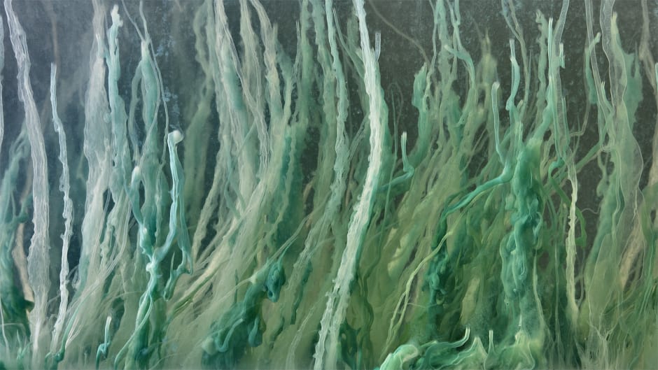 Chemical seaweed