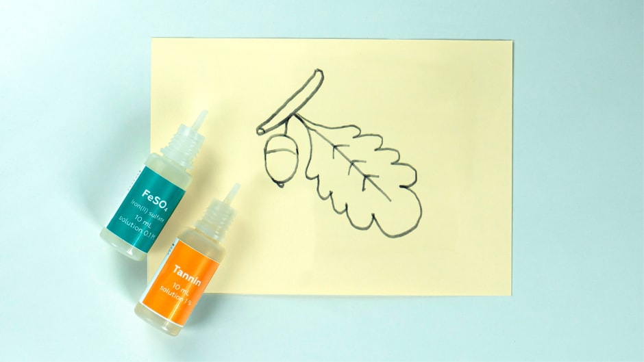 Iron gall ink