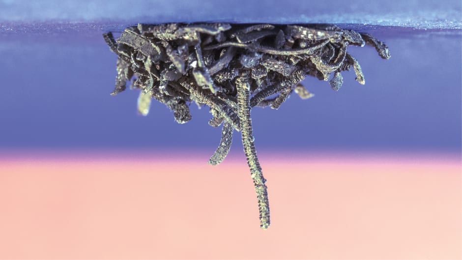 Magnetizing magnesium