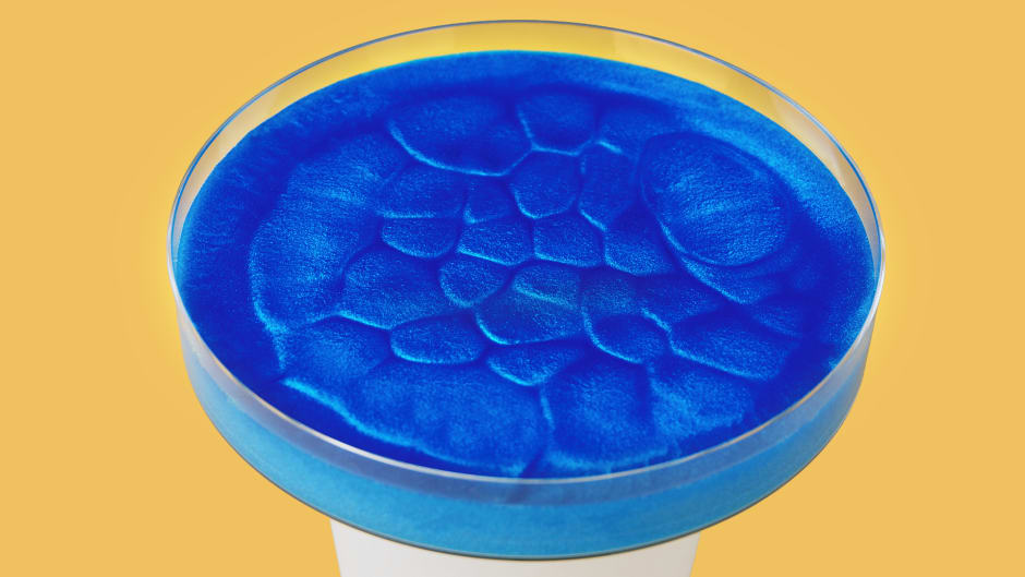 Convection cells