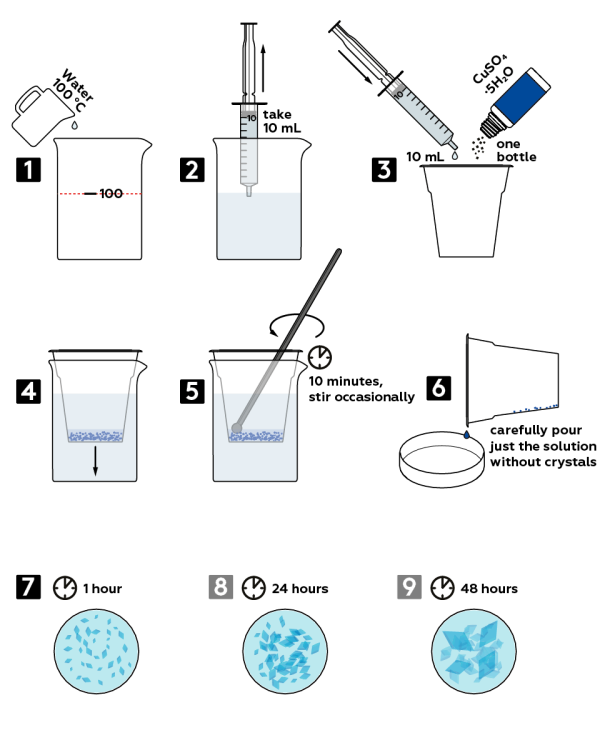 cupric sulfate experiments