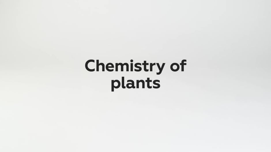 Exploring the chemistry of plants