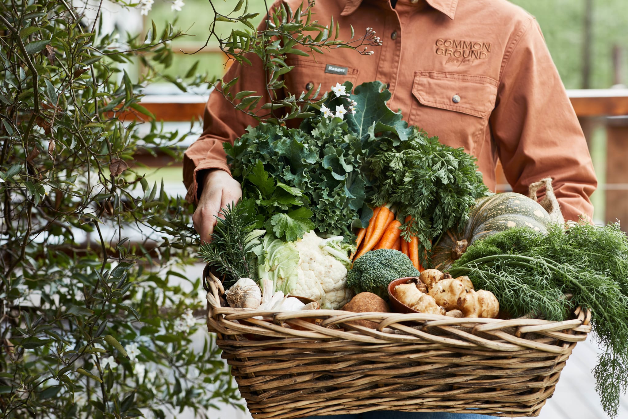 Fresh fruit and vegetables in a basket, from Common Ground Project.