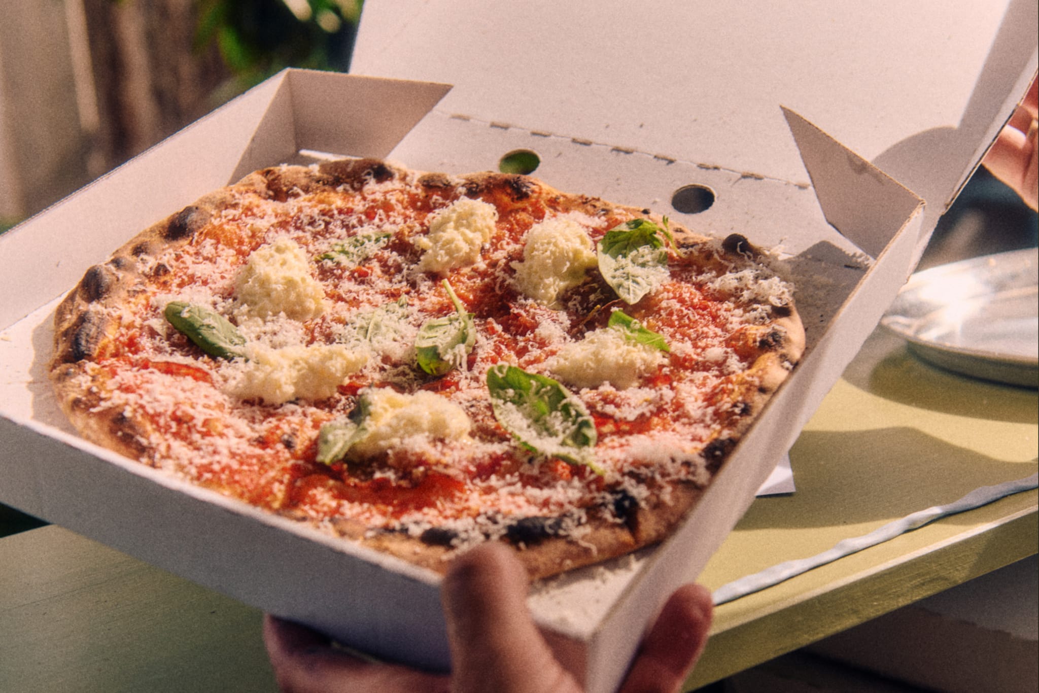 Pizza, fresh out of the oven from Pizza Luna.