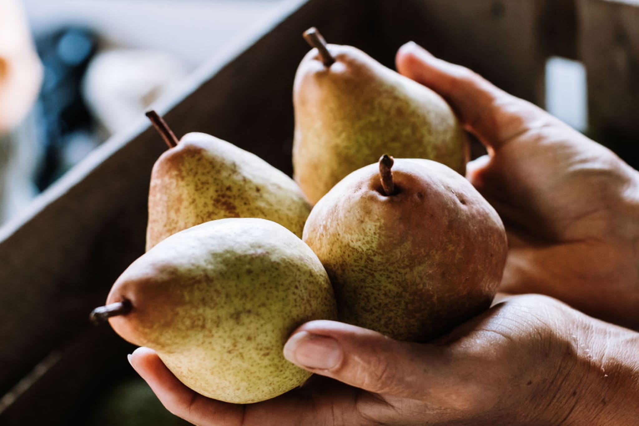 Pears from Black Barn farm.