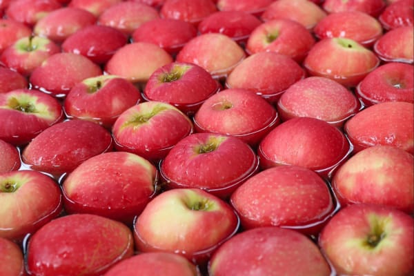 Apples at Radevski Coolstores.