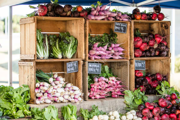 Fresh vegetables at Kinsfolk Farm.
