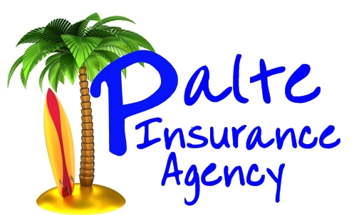 Palte Insurance logo