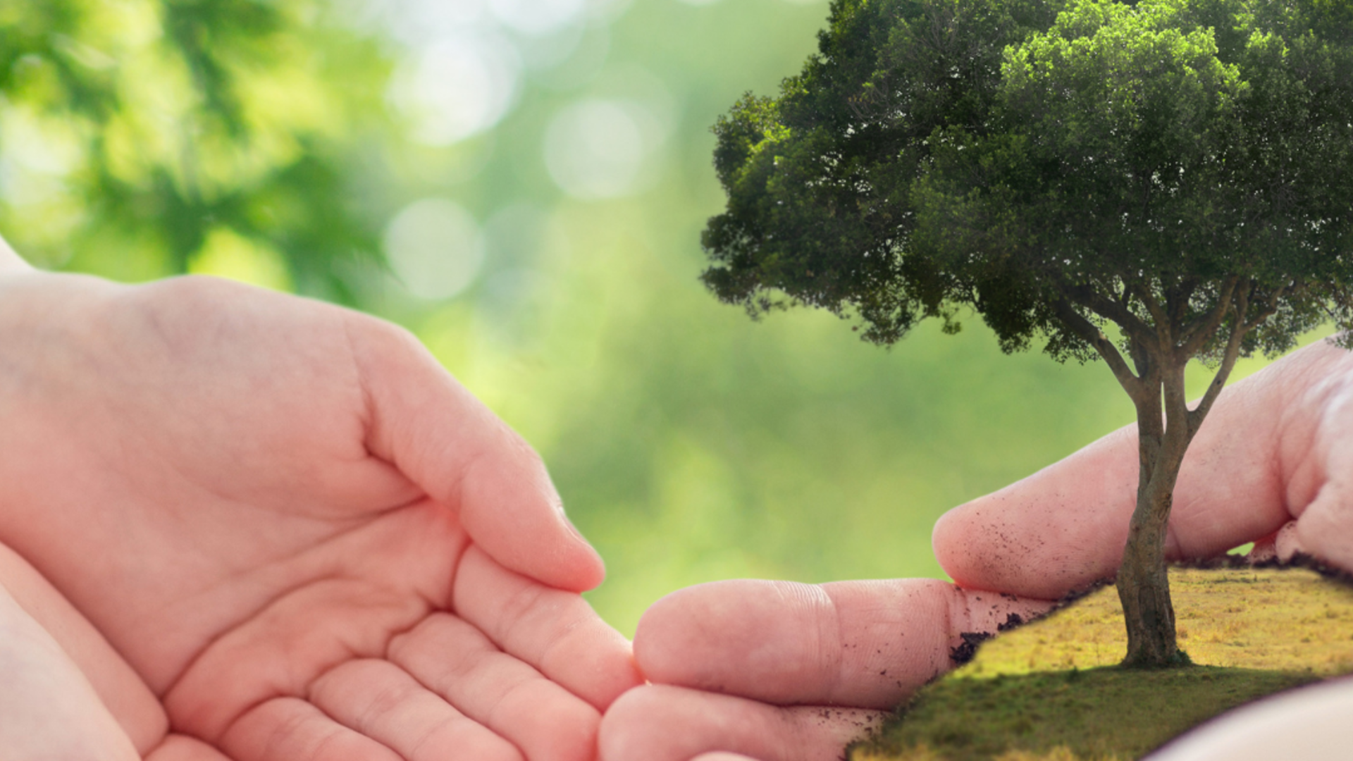 The Land Buying Roadmap cover photo