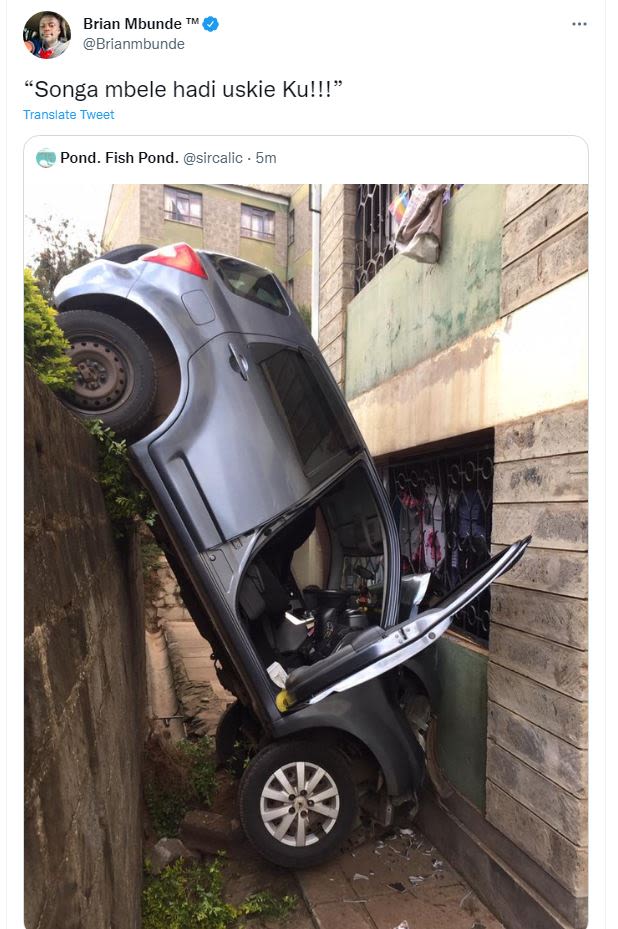 Brian Mbunde Brianmbunde Songa mbele hadi uskie Kul Translate Tweer Pond. Fish P