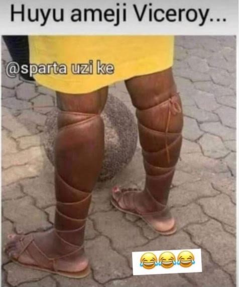 Huyu ameji Viceroy. sparta uzi ke