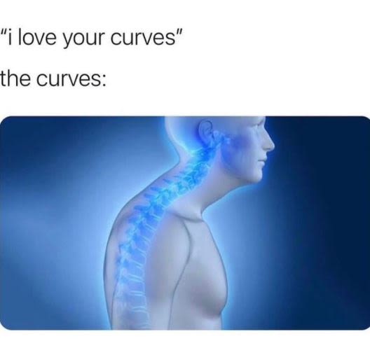 love your curves the curves