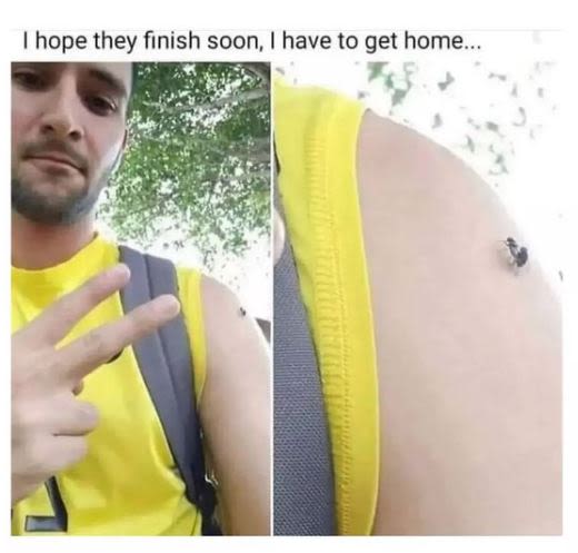 hope they finish soon have to get home