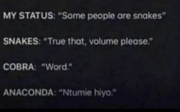 MY STATUS Some people are snakes ' SNAKES True that, volume please ' Cobra Word