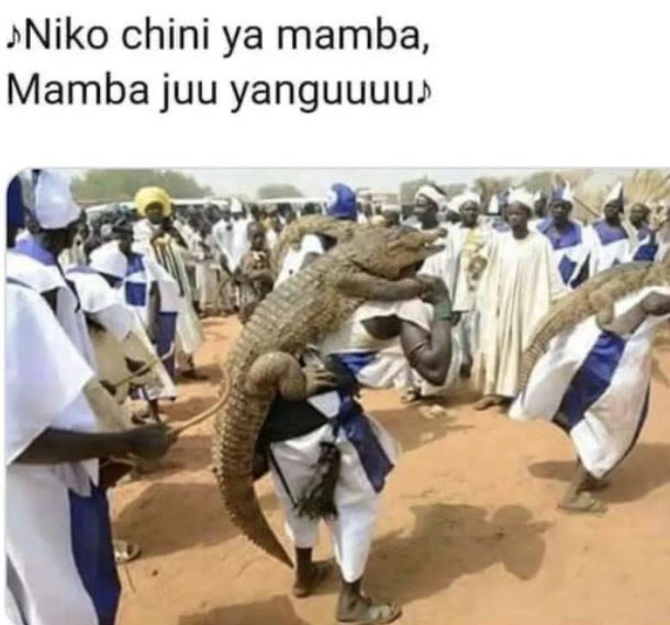 Jniko chini ya mamba, mamba juu yanguuuus