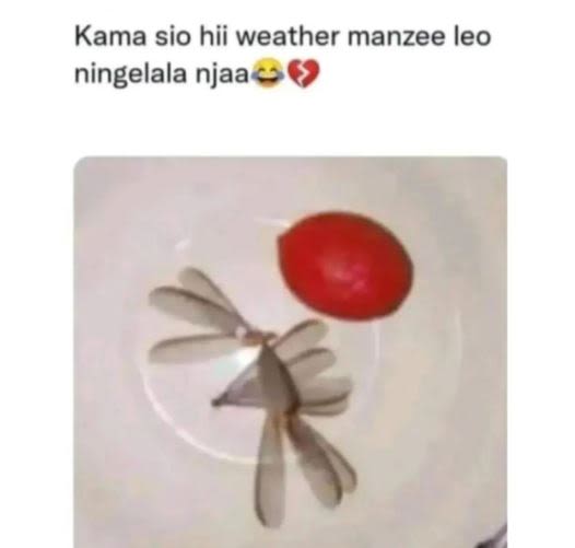 Kama sio hii weather manzee leo ningelala njaa