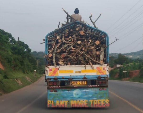 Uek705s plantnr trees