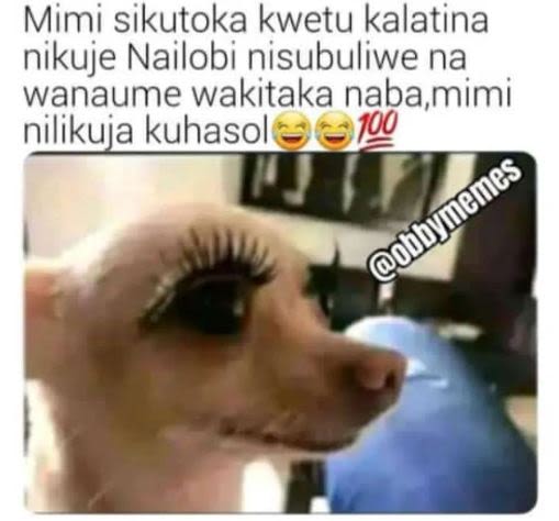 Mimi sikutoka kwetu kalatina nikuje nailobi nisubuliwe na wanaume wakitaka naba,