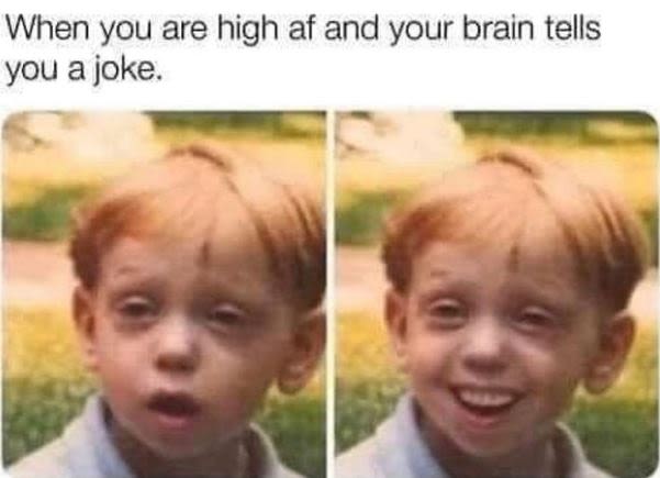 When you are high af and your brain tells you a joke.