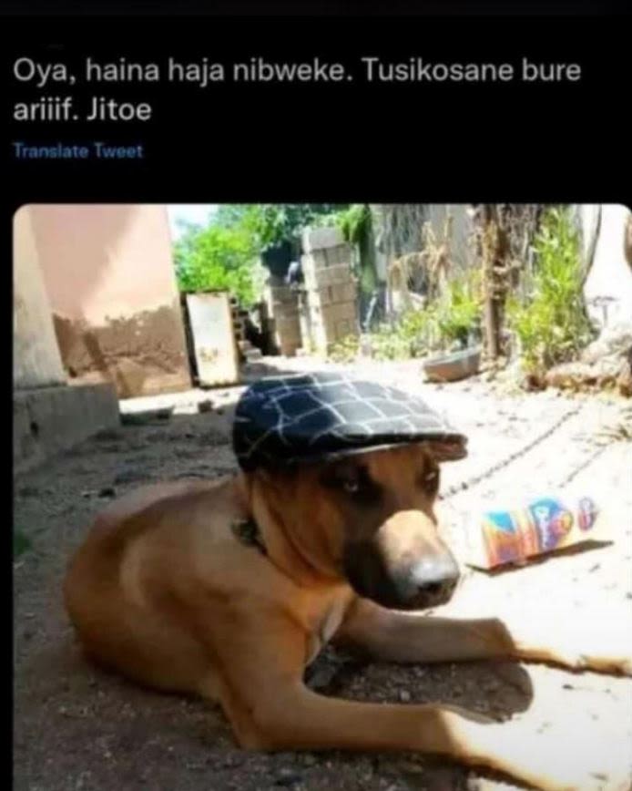 Oya, haina haja nibweke. tusikosane bure ariiif. jitoe translate iwoot