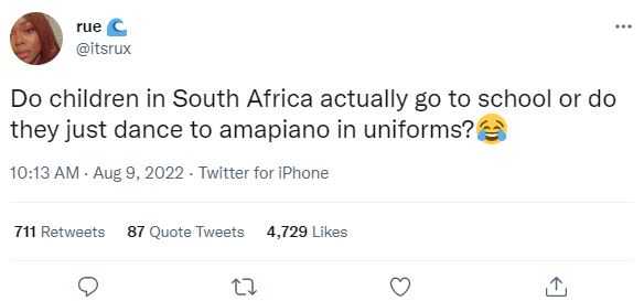 Rue itsrux do children in south africa actually g0 to school or do they just dan