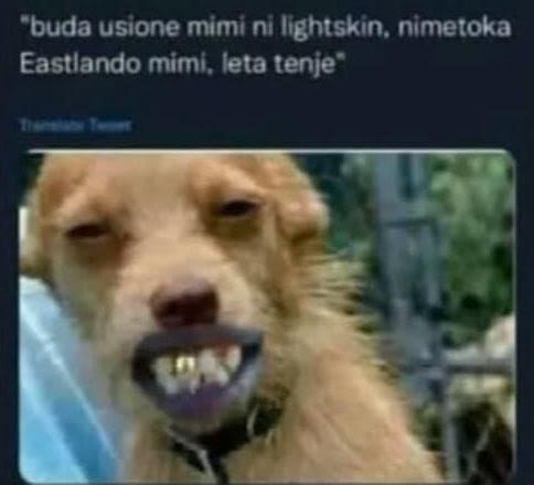 Buda usione mimi ni ightskin, nimetoka eastlando mimi, leta tenje '