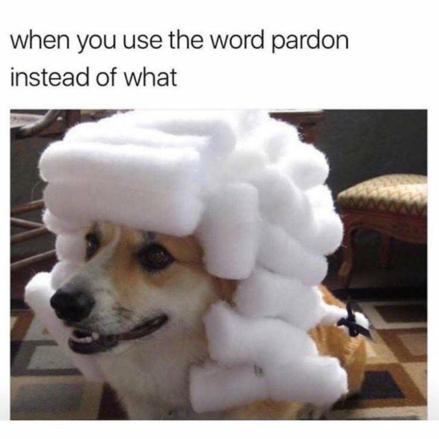 When you use the word pardon instead of what