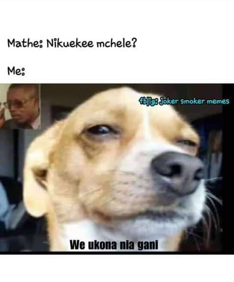 Mathe nikuekee mchele? me eilasjoker smoker memes we ukona nla ganl