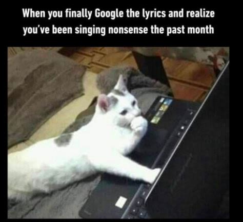 When you finally google the lyrics and realize you've been singing nonsense the