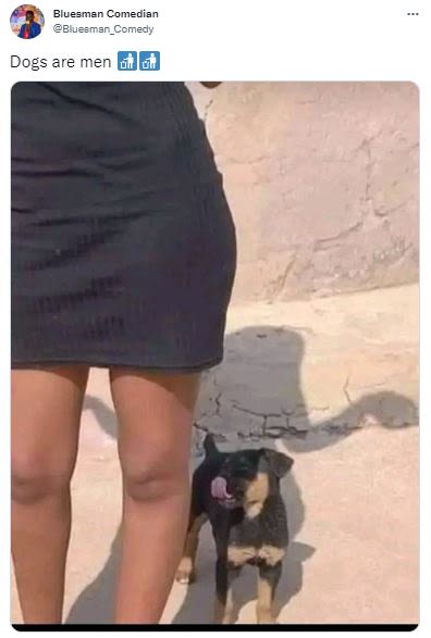 Bluesme comedian bhesgec comedy dogs are men