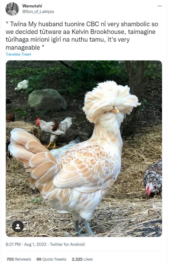 Wamutahi son_of_laikipia twina my husband tuonire cbc nf very shambolic so we de