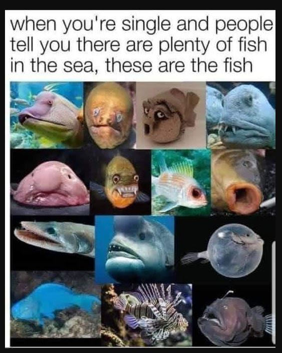 When you're single and peoplel tell you there are plenty of fish in the sea, the