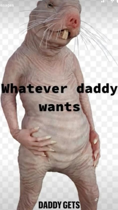 Sseges whatever daddy wants daddy gets