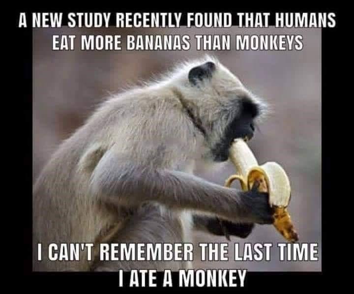 4 new study recently found that humans eat more bananas thai momieys caw't remem