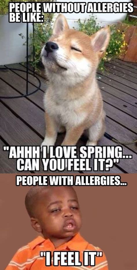 Peplewiihouomdlerges belike 'ahhhieqespring caiyoufeelitp peoplewithallergies 7