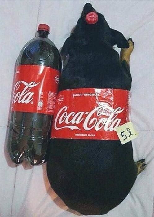 8 sanor origi gqodo anuaruau 5