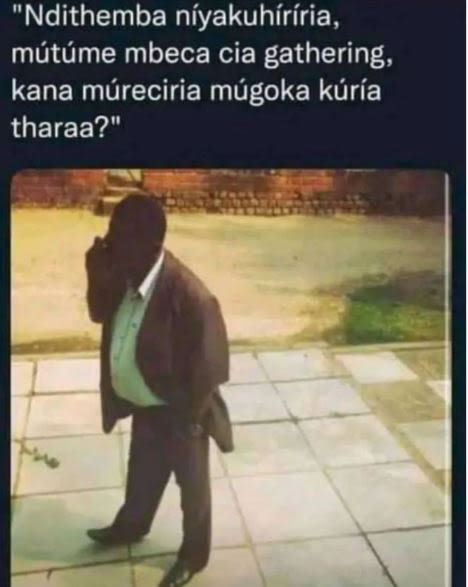 'ndithemba níyakuhíríria, mutáme mbeca cia gathering, kana mureciria mugoka kurí