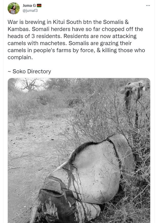 Juma g jumaf3 war is brewing in kitui south btn the somalis kambas. somali herde