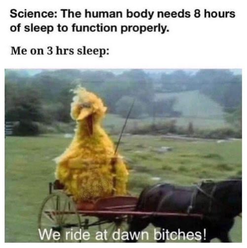 Science the human body needs 8 hours of sleep to function properly. me on 3 hrs