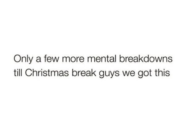 Only a few more mental breakdowns till christmas break guys we got this