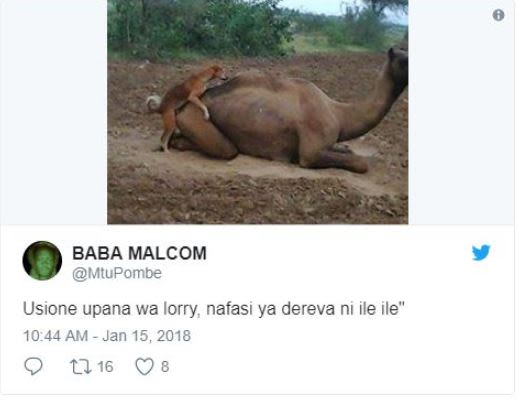 Baba malcom mtupombe usione upana wa lorry nafasi ya dereva ni ile ile 10.44 am