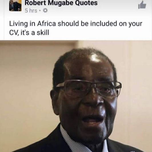 Robert mugabe quotes 5 hrs living in africa should be included on your cvit's a