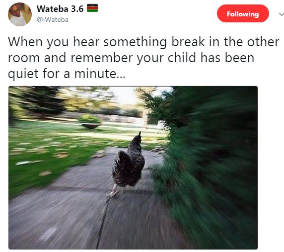 Wateba 3.6 iwateba following when you hear something break in the other room and