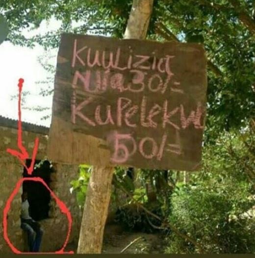 Kuulizid abo kulelekv boj