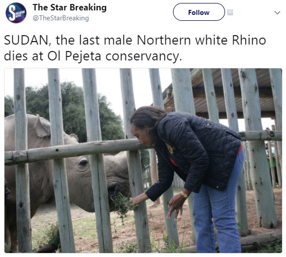 The star breaking thestarbreaking follow sudan the last male northern white rhin