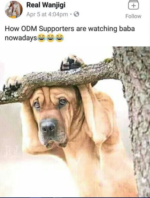Real wanjigi apr 5 at 4 04pm follow how odm supporters are watching baba nowaday